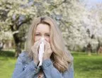 12 tips for å bekjempe høysnue og allergier