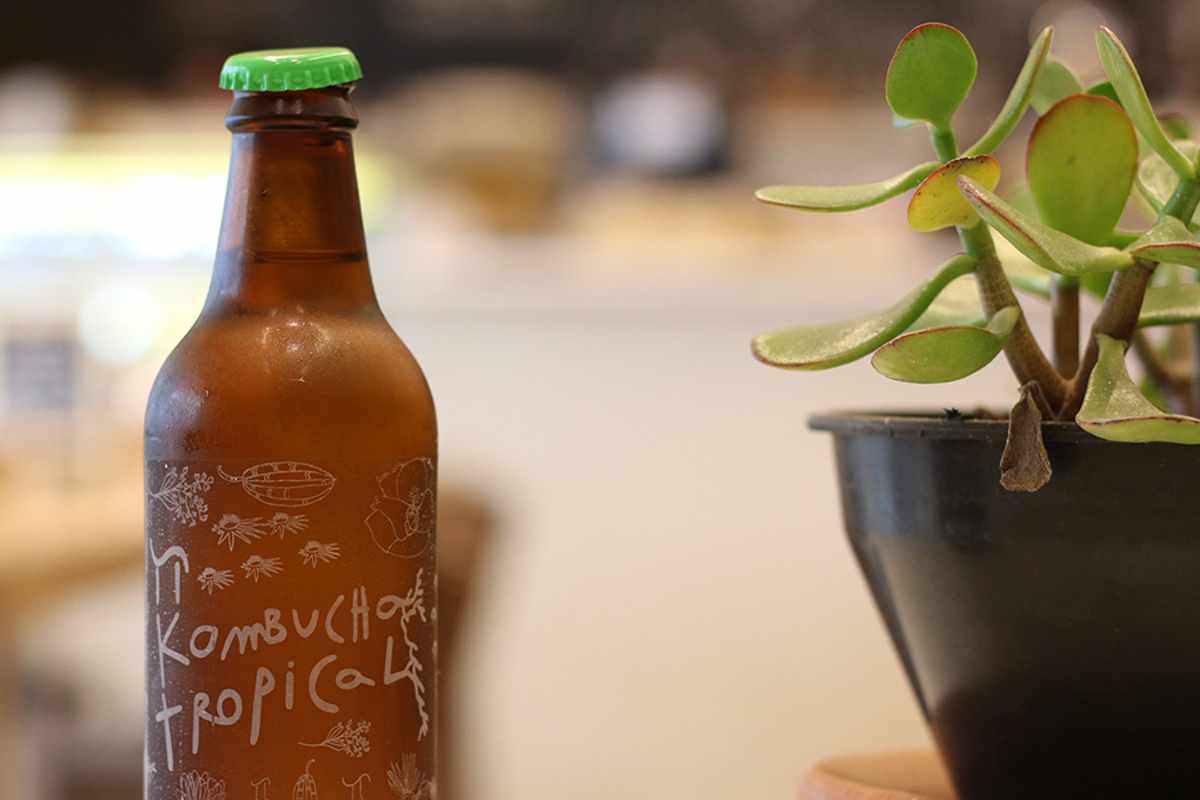 Kombucha Vet Du Hva Som Skjer Med Tarmene Dine Når Du Drikker Den Mest Kjente Fermenterte Teen 