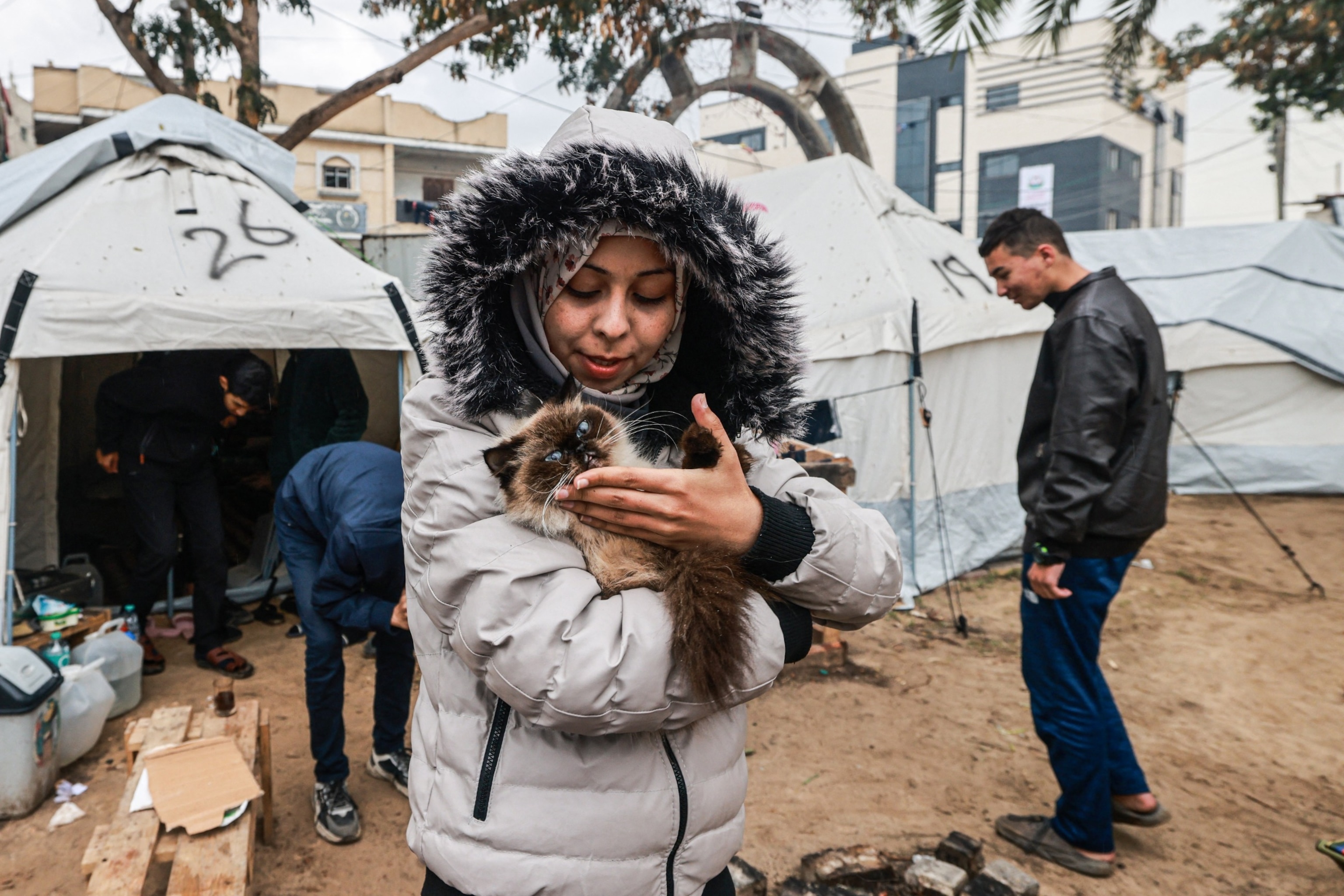 FOTO: En palestinsk jente holder en katt i nærheten av en provisorisk leir i Rafah, på den sørlige Gazastripen 29. januar 2024, mens tusenvis av sivile har blitt fordrevet midt i pågående kamper mellom Israel og den palestinske militante gruppen Hamas. 